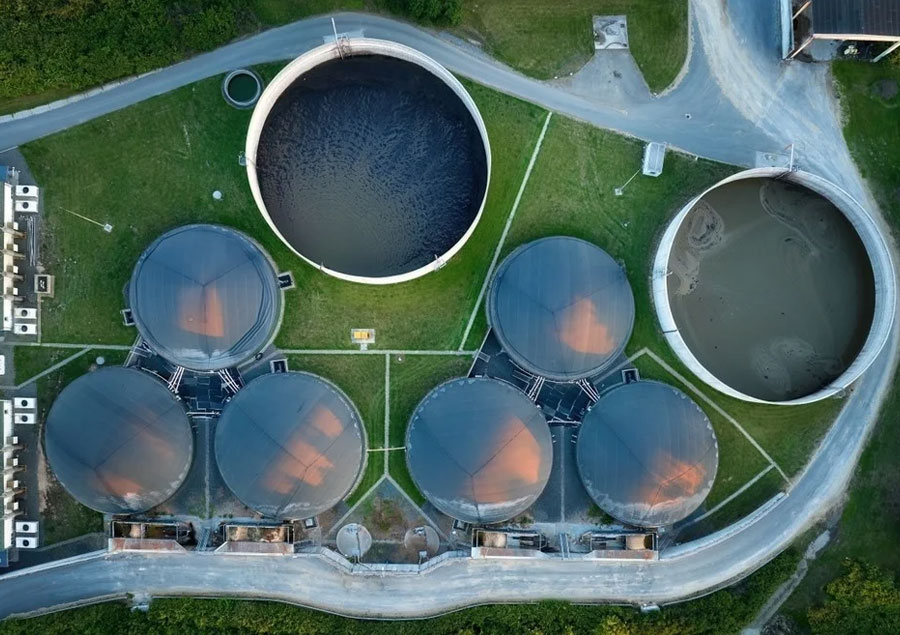 Biomassa-&-Biofuel